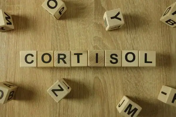 The Hidden Connection: How Stress Shapes Your Fitness and Body Composition 2 Image saying "Cortisol" and how stress Harlow impacts your wellbeing and bodies shape
